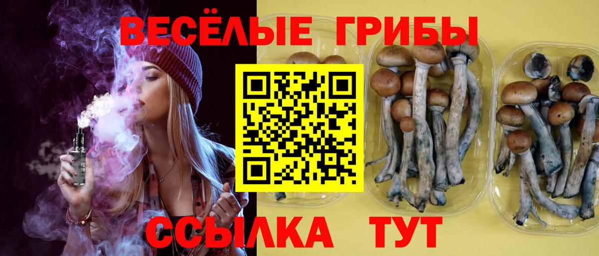 Галлюциногенные грибы прущие грибы Губаха