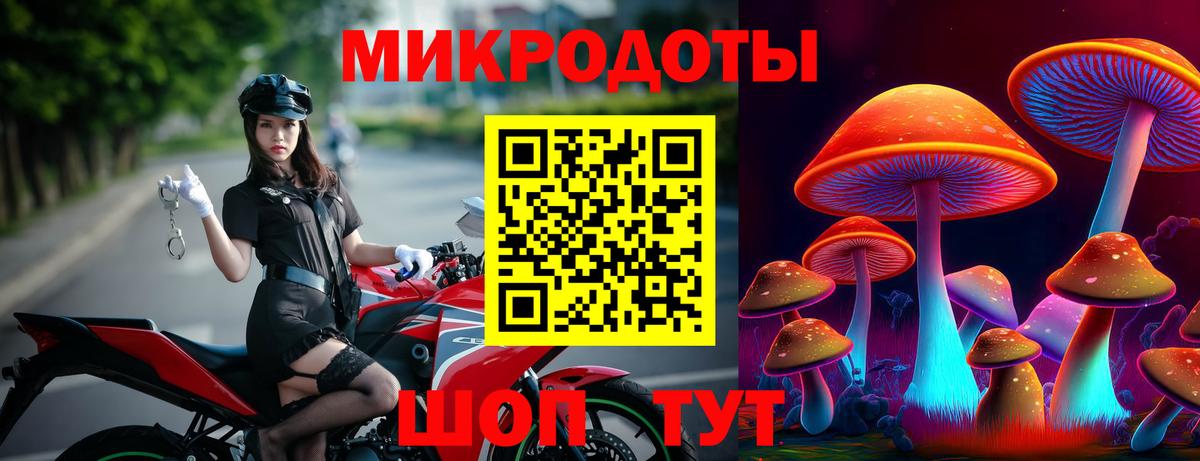 закладка  Вход с VPN  Губаха  Псилоцибиновые грибы ЛСД 